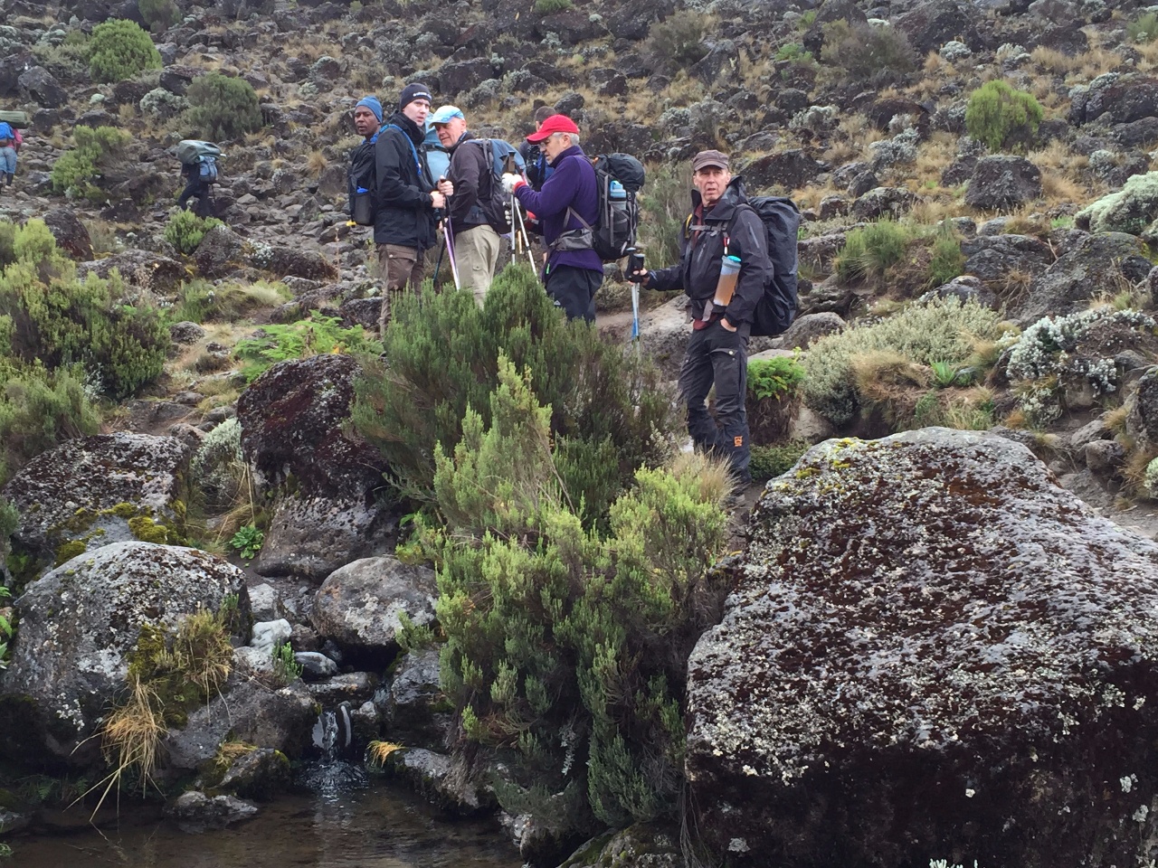 Kili Dag 3 Mot Lava Tower, porlande bäck
